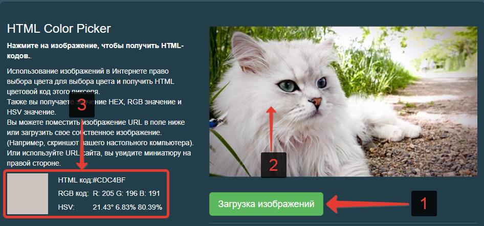 Определение кода цвета пикселя на картинке в онлайн сервисе