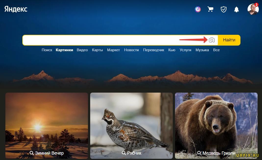 Поиск по картинке Яндекс
