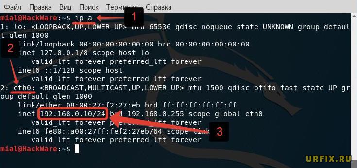 Узнать IP-адрес Ubuntu Linux