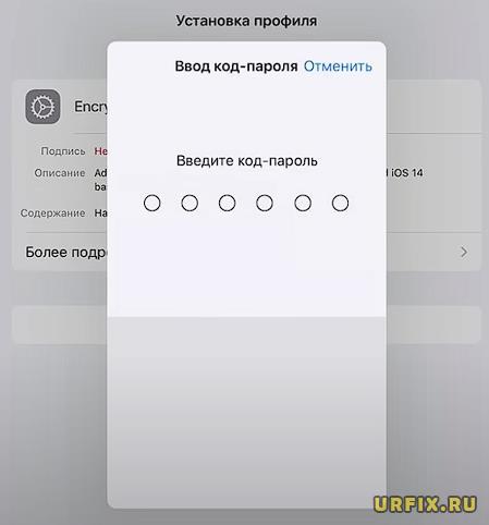 Ввод код-пароля при установке профиля iOS